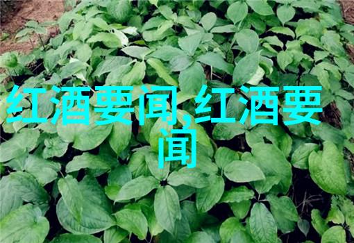 农场梦想绿茵盛宴