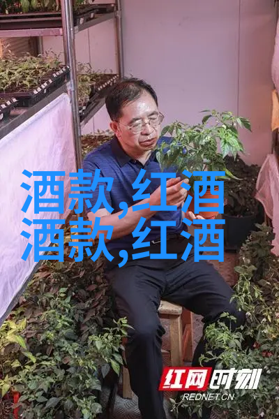 音乐世界游览旋律与和声的旅行者们