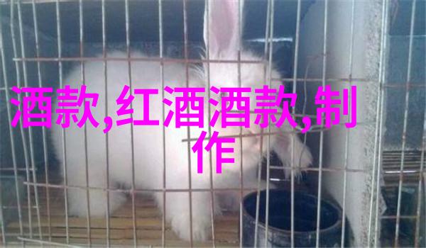 智慧与活力奥林匹亚狮子头现代都市人的理想宠物