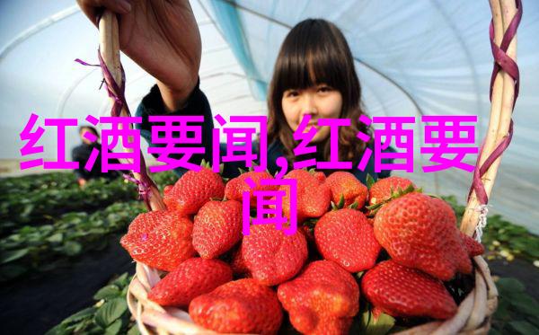 澳大利亚黄金角落南澳大利亚威士忌湾全球知名红酒源头