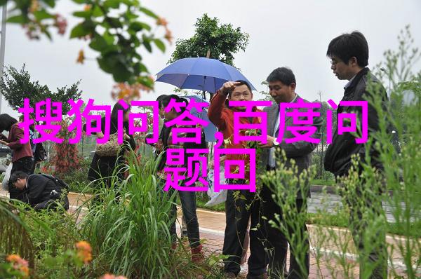 猫咪的种类和图片大全-探秘世界各种猫咪品种与迷人的图库
