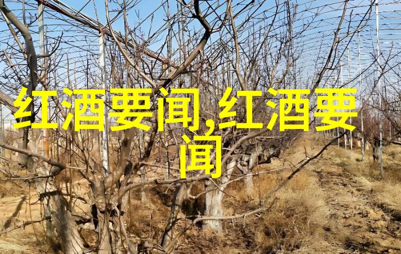 Cassegrain红酒官网-品鉴Cassegrain探索法国葡萄酒精髓的官方门户