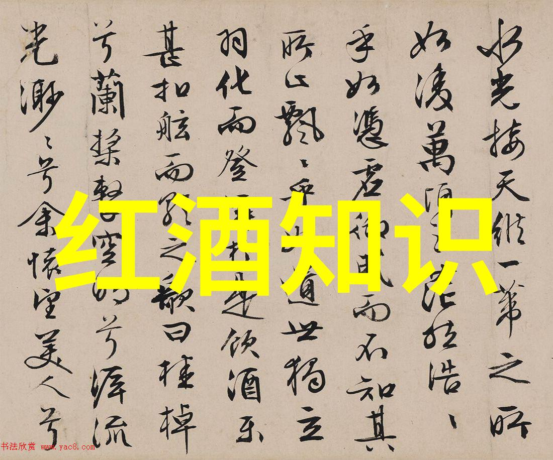 中国葡萄酒简介脚踏风味直入葡萄酒品鉴之旅