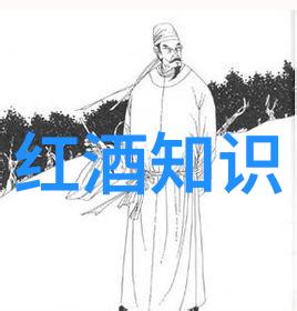 红酒品鉴之夜探索不同产地的葡萄酒风味