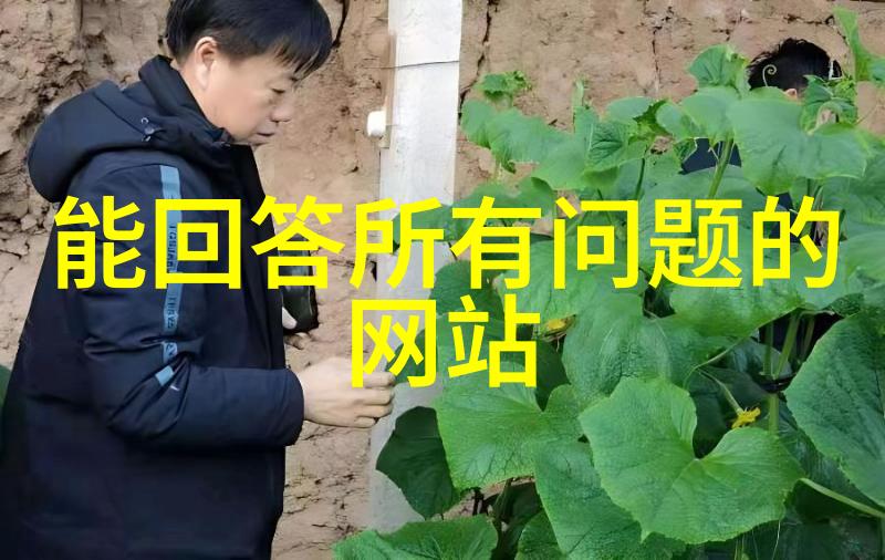 请问在绘制简笔画时首先应该描绘什么部分