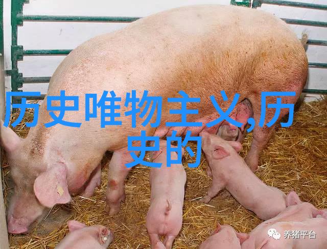 葡萄酒之冠国产佳酿与法国红酒图案共鸣尽在醉心香浓