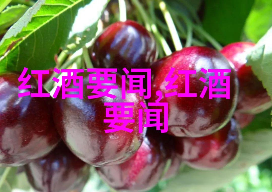 猎犬大师揭秘那些古老而神秘的狩猎狗咬图解