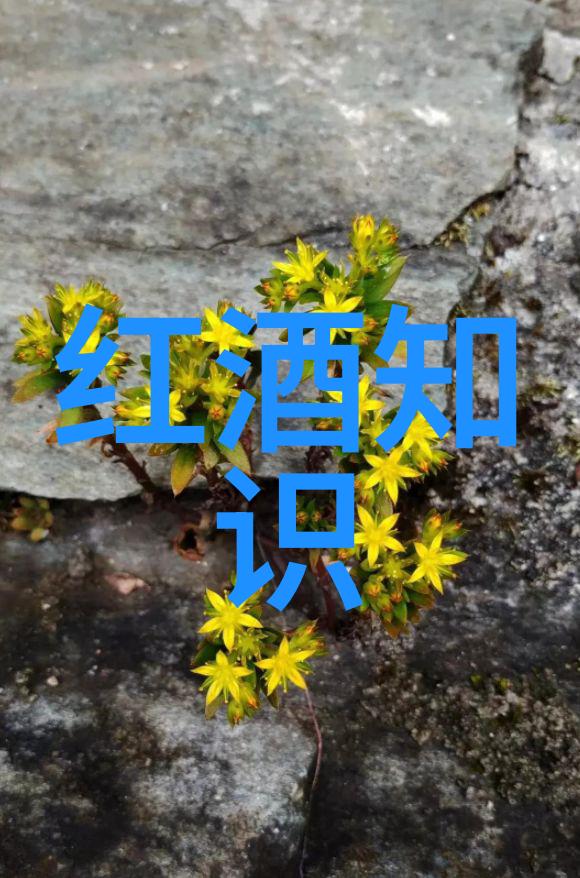 遵化市中国第一村探秘之旅