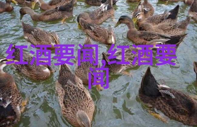 小学问答探秘趣味小学生问答题汇总