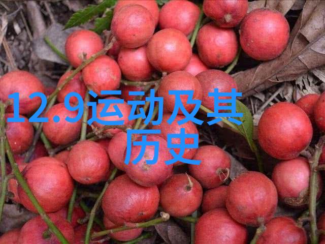 庄园里的悠闲生活古色古香的宅邸与围绕其的绿意盎然花园