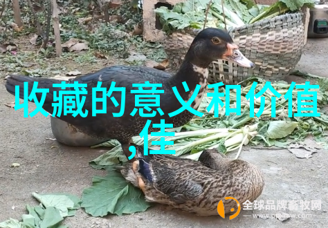 在百度问一问app下载了解我国社会中一些重大节日的饮酒习惯