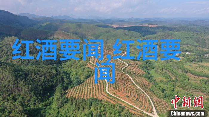 蚂蚁庄园小课堂2021年9月8日答案 - 蚂蚁智慧的学堂解锁知识之门