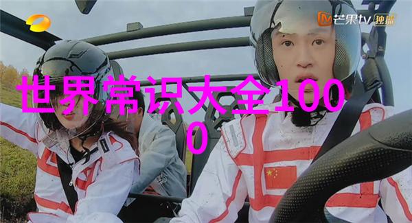 法国最有名的两个葡萄酒产地我和我的两位法兰西美人波尔多与布鲁日