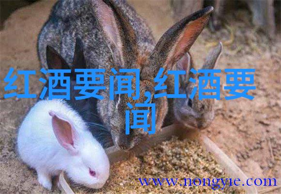 镜头下的真实现代人物画像探究
