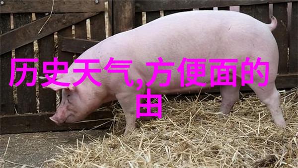 品味红酒文化深度探索葡萄酒世界的魅力与奥秘