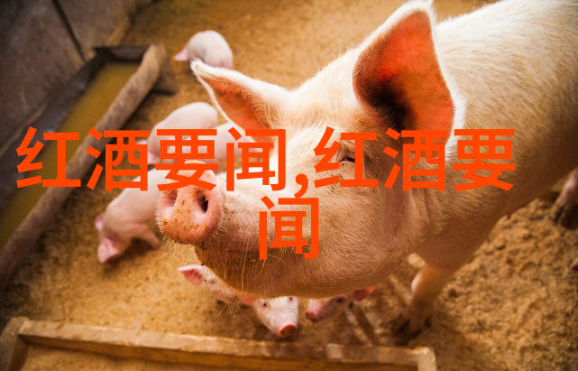 红酒要闻 - 醉心于葡萄的故事探秘世界各地最佳红酒产区