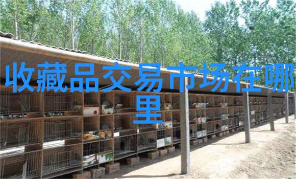 微博补车超长截图-微博上的补车超长截图揭秘城市交通的无形代价