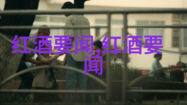 美短猫的秘密世界在家中探索它们的神秘生活