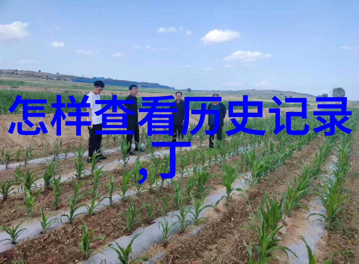 互联网史话-问答时代的序幕第一问答网站的诞生与影响