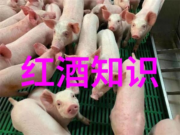 疑惑解答剖析中世纪大规模洪水对社会经济影响的真相