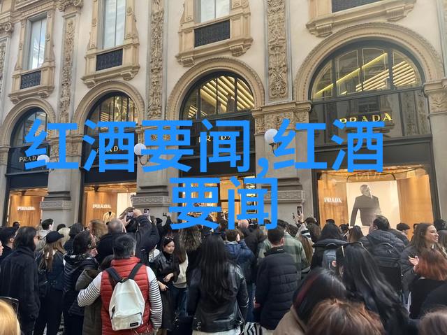 猫的分类与特点