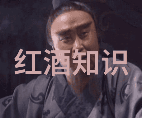 解锁手机收藏掌握查看技巧优化数字生活