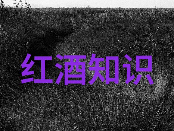 赤刃穿心刀尖txt背后的故事与文化意义