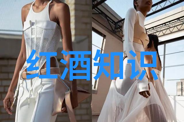 法国红酒之美绚烂的葡萄园画卷