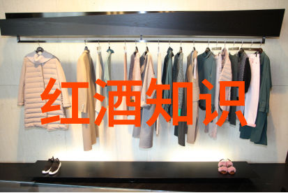 咸鱼网二手交易平台 - 闲置变现的智慧咸鱼网二手交易平台上的买卖秘诀