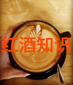探索法国葡萄酒之冠波尔多勃艮第与罗讷河谷