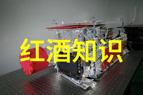 香槟之梦波尔多的秘密花园