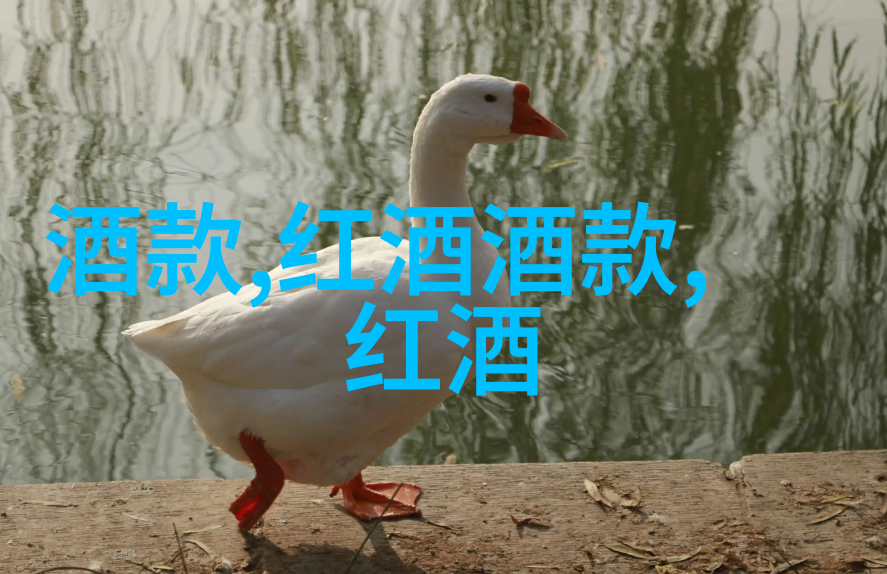 你知道法国葡萄酒的文化艺术是什么吗