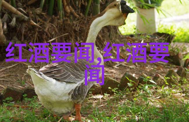 文物局一分钱鉴定五毛钱保真