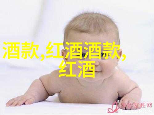 法国葡萄酒的文化艺术品味巴黎风情我与法国葡萄酒的故事
