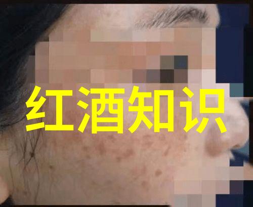 中国最豪华私人别墅豪华生活奢侈品家居超级富豪住所