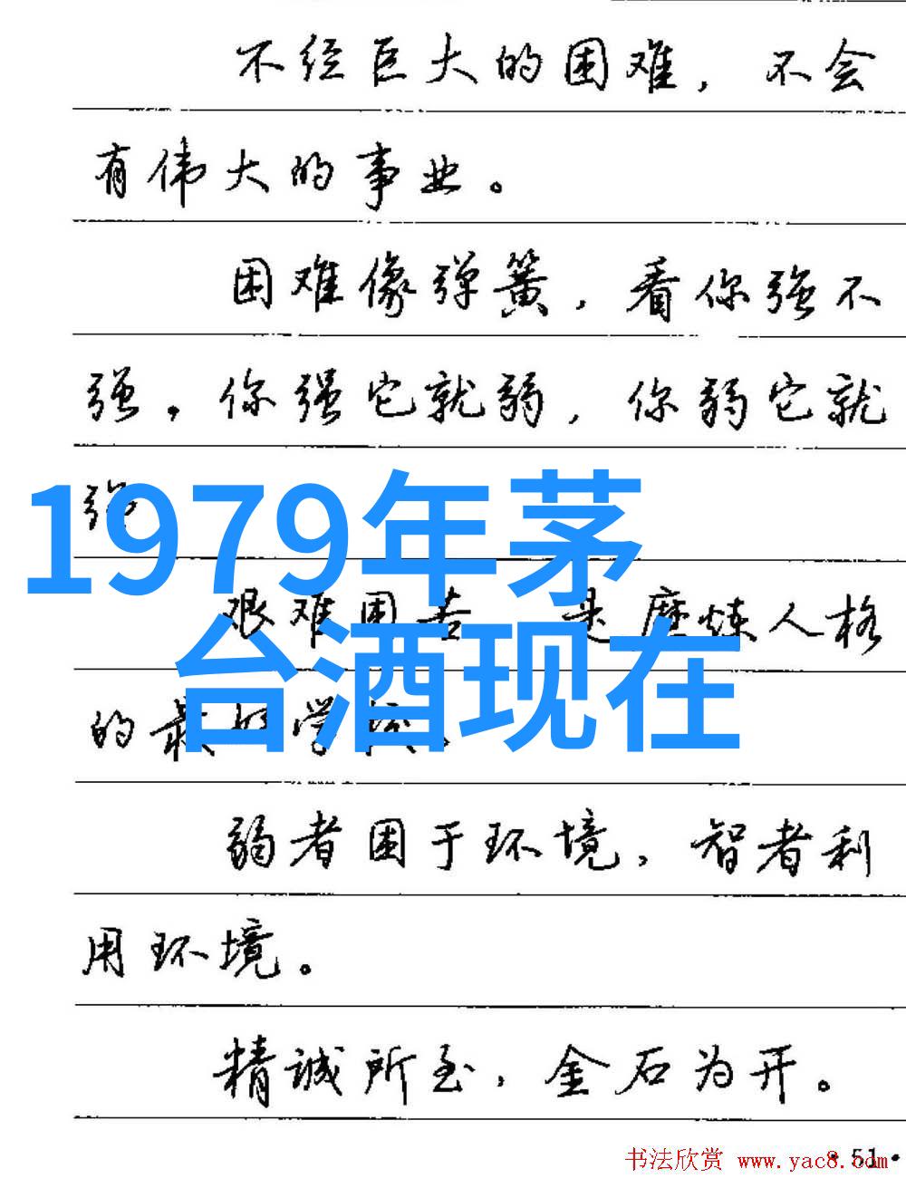 ETF投资的迷雾散户为何难逃亏损