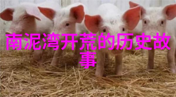 可爱的图片 人物-绚烂色彩中的可爱模特探索那些让人心动的角色