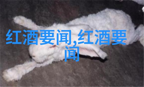 品味中国葡萄酒探索全国各大产区