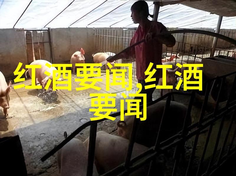 西班牙酒庄重振本土葡萄多少钱的红酒才是真的