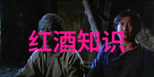 红酒的秘密煮沸探索一种古老而独特的饮食文化