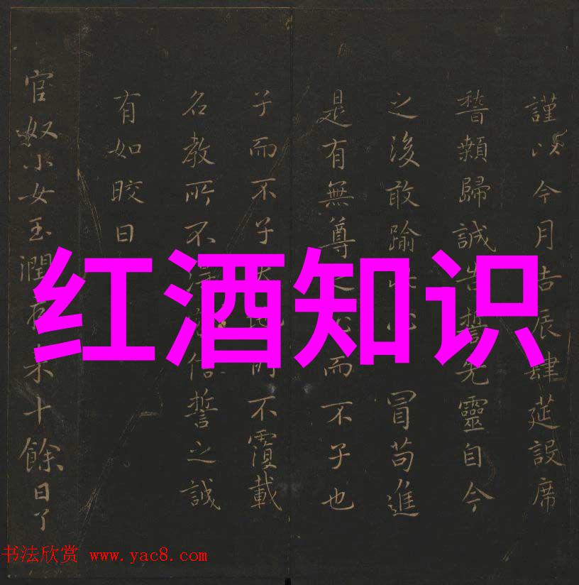 探索法国葡萄酒法定产区 BordeauxBurgundy与Champagne的传奇故事