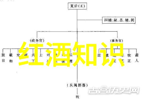 在哪个璀璨的夜晚Olive Hay Restaurant竟然荣获了那颗耀眼的纳帕谷葡萄酒奖是不是因为