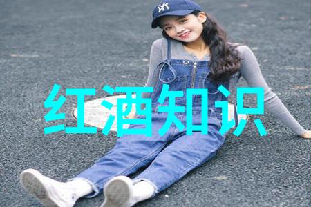 四年级讲历史人物故事-时光回响小小史家的大历史探险