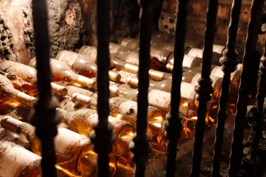 红酒知识入门_关于红酒的知识大全_红酒知识/