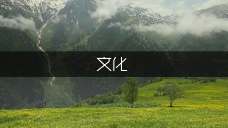红酒文化知识/