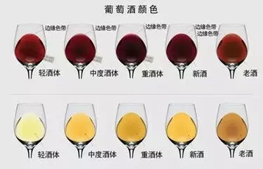 红酒知识培训资料_红酒知识_红酒知识app/