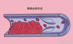翰墨飘香探寻书画艺术收藏的魅力之旅